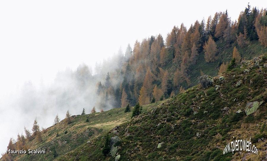 38 Nebbia di stagione.JPG